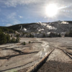 Yellowstone National Park, Wyoming, USA - Mammoth Hot Springs