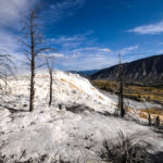 Yellowstone National Park, Wyoming, USA - Mammoth Hot Springs