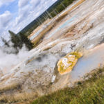 Yellowstone National Park, Wyoming, USA - Norris Geyser - Back Basin Loop Trail