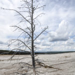 Yellowstone National Park, Wyoming, USA - Norris Geyser - Back Basin Loop Trail