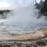 Yellowstone National Park, Wyoming, USA - Norris Geyser - Upper Geyser Bassin