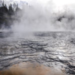 Yellowstone National Park, Wyoming, USA - Norris Geyser - Upper Geyser Basin