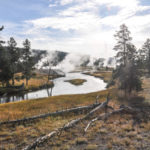 Yellowstone National Park, Wyoming, USA - Norris Geyser - Upper Geyser Basin