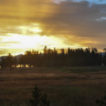 Yellowstone National Park, Wyoming, USA - Yellowstone Lake sunrise