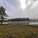 Yellowstone National Park, Wyoming, USA - Yellowstone Lake wake up