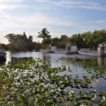 Everglades National Park, Florida, USA - Airboat tour