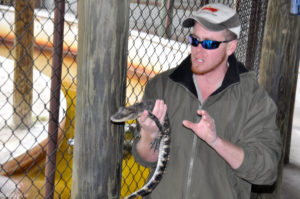 Everglades National Park, Florida, USA - Meeting Snappy