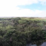 Everglades National Park, Florida, USA - Bike tour - landscape view