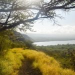 Hawaii_SeaTurtle-0001