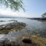 Hawaii_SeaTurtle-0003