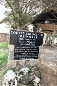 Kenya_MasaiMara_Day1-0001