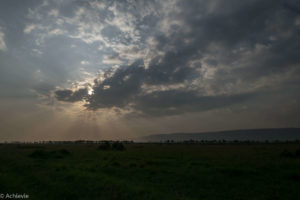 Kenya_MasaiMara_Day1-0030