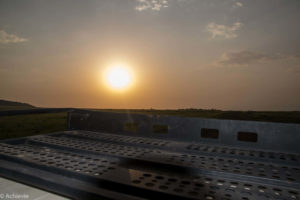 Kenya_MasaiMara_Day1-0032