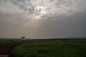 Kenya_MasaiMara_Day2-0002