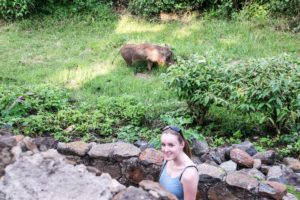 Kenya_MasaiMara_Lodge-0008