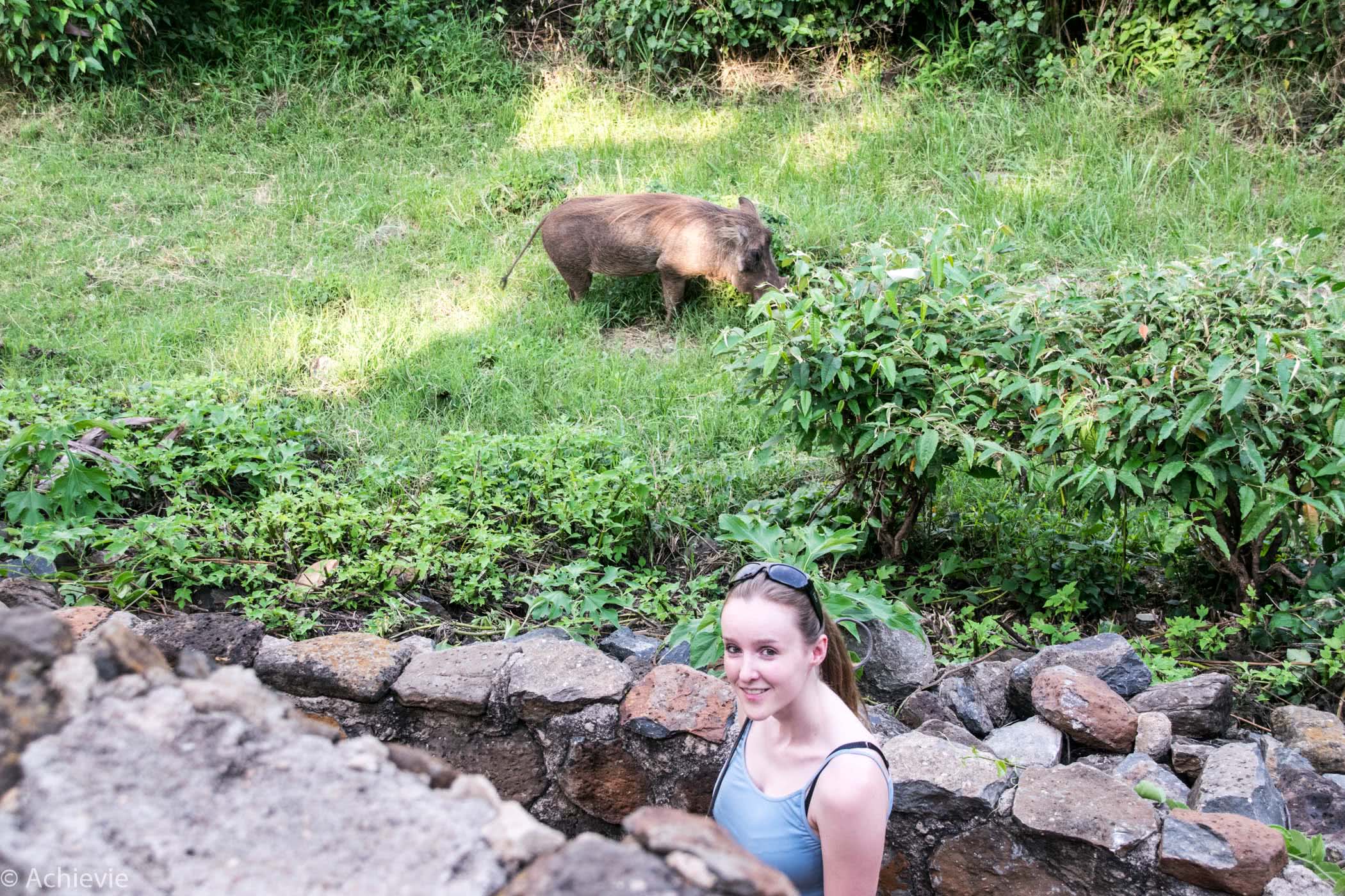 Kenya_MasaiMara_Lodge-0008