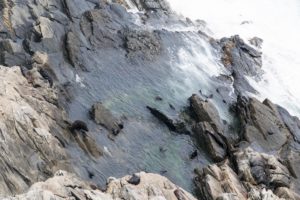 Kangaroo Island, Australia - Flinders Chase National Park - Admirals Arch Walk