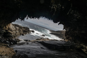 Kangaroo Island, Australia - Flinders Chase National Park - Admirals Arch Walk