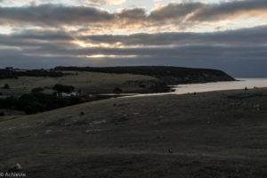 Kangaroo Island, Australia - Stokes Bay - Waves & Wildlife cottages