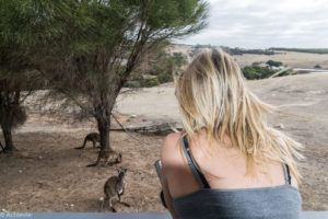 Kangaroo Island, Australia - Stokes Bay - Waves & Wildlife cottages