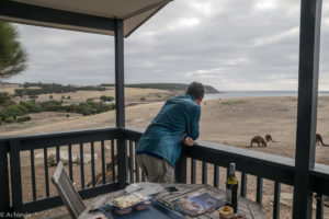 Kangaroo Island, Australia - Stokes Bay - Waves & Wildlife cottages