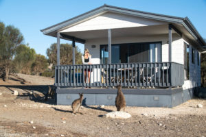 Kangaroo Island, Australia - Stokes Bay - Waves & Wildlife cottages