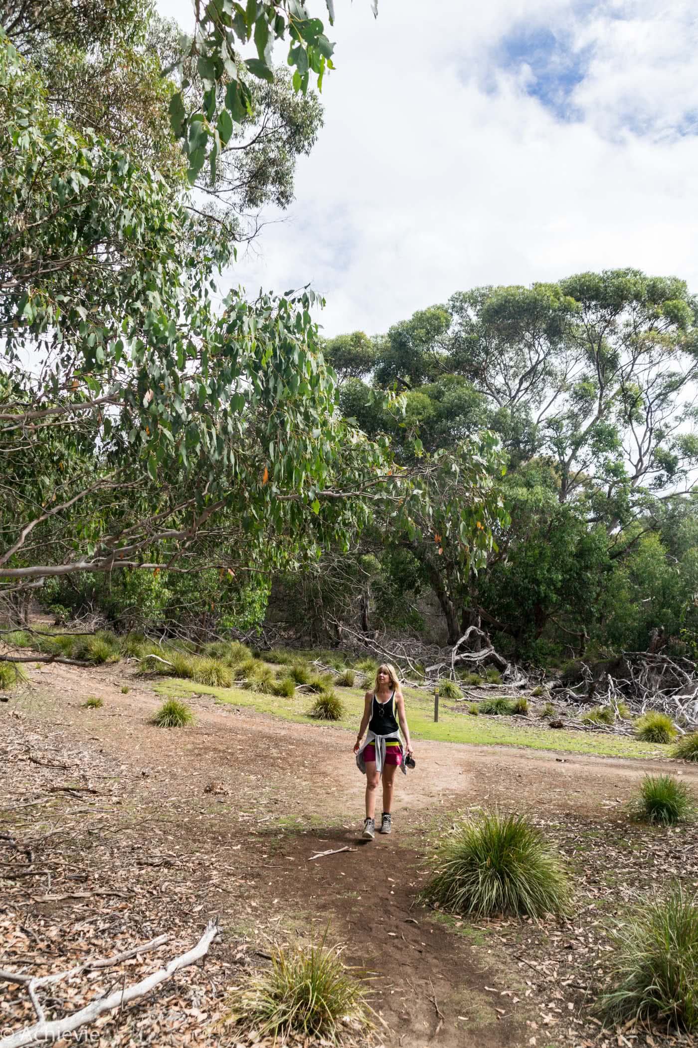 KI-HeritageWalk-0001