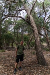 Kangaroo Island, Australia - Flinders Chase National Park - Heritage Walk