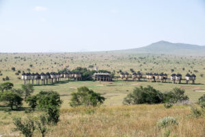 Kenya_TaitaHills-0001