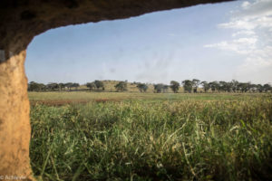 Kenya_TaitaHills-0007