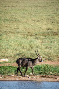 Kenya_TaitaHills-0009