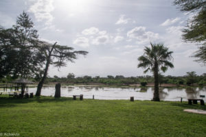 Kenya_Ziwani-0011