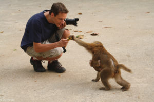 Chiang Rai, Thailand - Monkey Temple (Wat Tham Phra) - Macaques