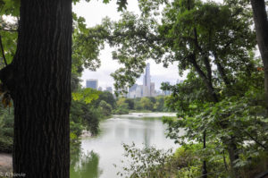 US_NYC_CentralPark-0007