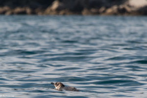 NewZealand-7views-AbelTasmanKayak-0002