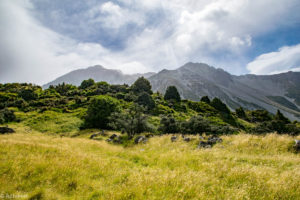 NewZealand-7views-MountCook-0004