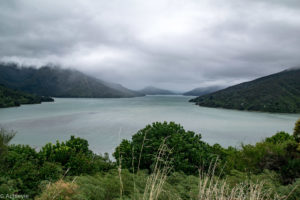 NewZealand-7views-QueenCharlotte-0001