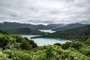 NewZealand-7views-QueenCharlotte-0002