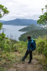 NewZealand-7views-QueenCharlotte-0004