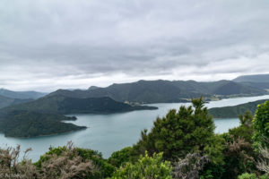 NewZealand-7views-QueenCharlotte-0006