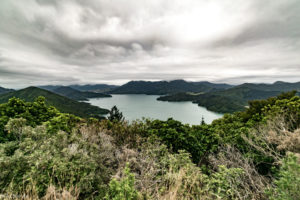 NewZealand-7views-QueenCharlotte-0008