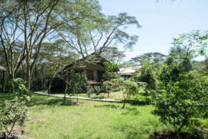 Kenya_LakeNaivasha_Lodge-0003