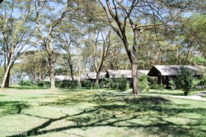 Kenya_LakeNaivasha_Lodge-0004