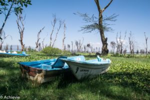 Kenya_LakeNaivasha_Walk-0001