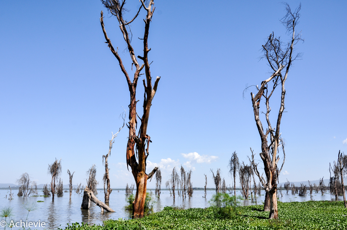 Kenya_LakeNaivasha_Walk-0003