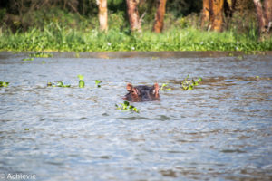 Lake Naivasha, Kenya - Crescent Island Game Sanctuary - Boat tour & Walk