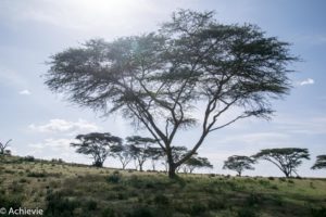 Kenya_LakeNaivasha_Walk-0009