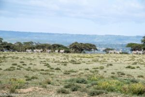 Kenya_LakeNaivasha_Walk-0019