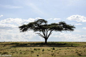 Kenya_LakeNaivasha_Walk-0025