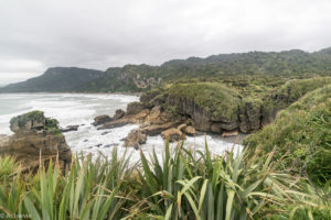 NewZealand-7views-PancakeRocks-0005